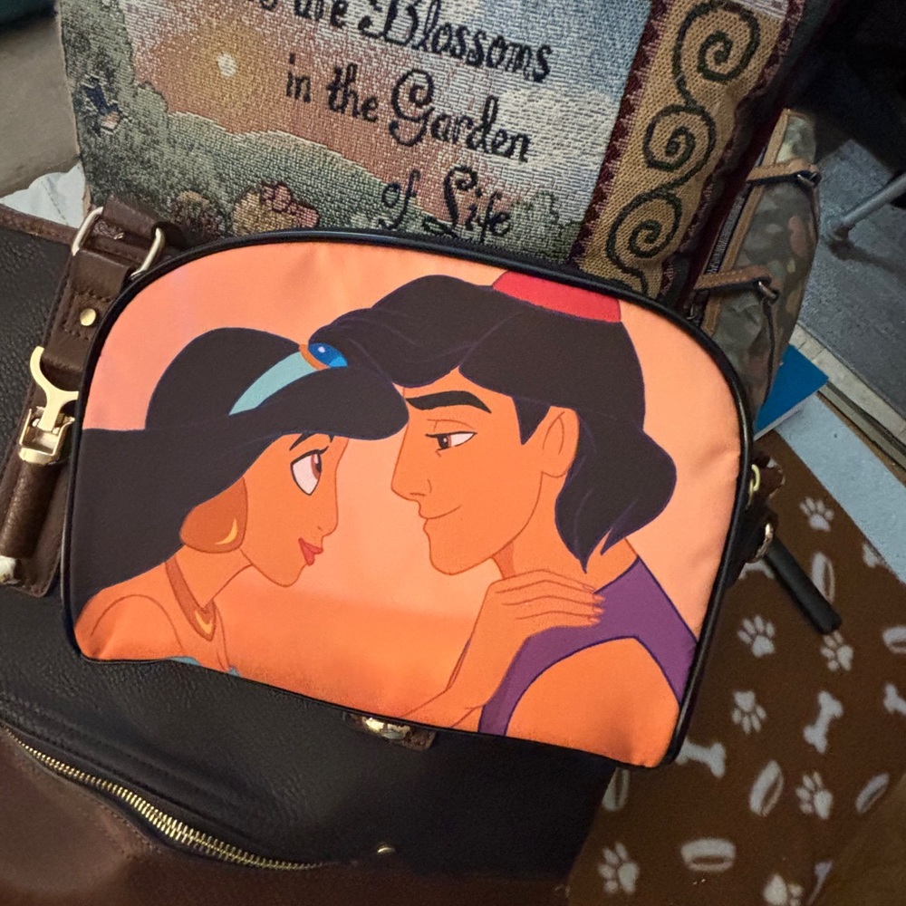 Disney Aladdin Makeup Case